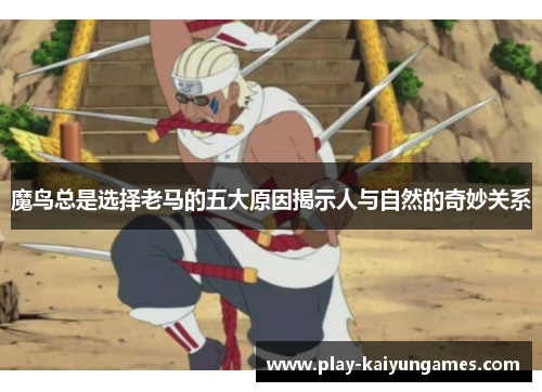 魔鸟总是选择老马的五大原因揭示人与自然的奇妙关系