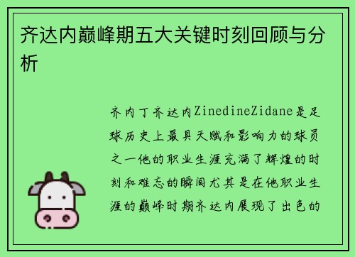 齐达内巅峰期五大关键时刻回顾与分析